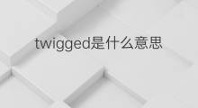 twigged是什么意思 twigged的中文翻译、读音、例句