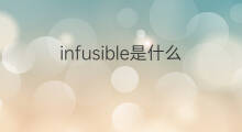 infusible是什么意思 infusible的中文翻译、读音、例句