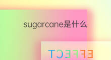 sugarcane是什么意思 sugarcane的中文翻译、读音、例句