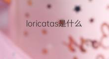 loricatas是什么意思 loricatas的中文翻译、读音、例句