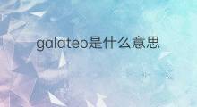 galateo是什么意思 galateo的中文翻译、读音、例句