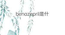 benazepril是什么意思 benazepril的中文翻译、读音、例句