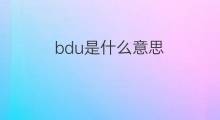 bdu是什么意思 bdu的中文翻译、读音、例句