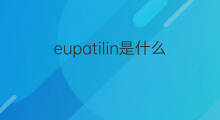 eupatilin是什么意思 eupatilin的中文翻译、读音、例句