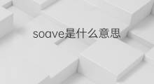 soave是什么意思 soave的中文翻译、读音、例句