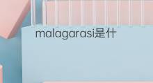 malagarasi是什么意思 malagarasi的中文翻译、读音、例句