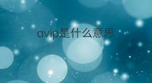 avip是什么意思 avip的中文翻译、读音、例句