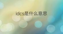 idcs是什么意思 idcs的中文翻译、读音、例句