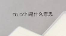 trucchi是什么意思 trucchi的中文翻译、读音、例句
