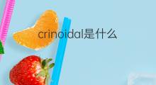 crinoidal是什么意思 crinoidal的中文翻译、读音、例句