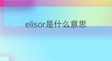 elisor是什么意思 elisor的中文翻译、读音、例句
