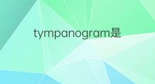 tympanogram是什么意思 tympanogram的中文翻译、读音、例句