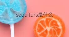 sequiturs是什么意思 sequiturs的中文翻译、读音、例句