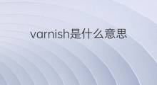 varnish是什么意思 varnish的中文翻译、读音、例句
