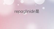 repaglinide是什么意思 repaglinide的中文翻译、读音、例句