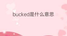 bucked是什么意思 bucked的中文翻译、读音、例句