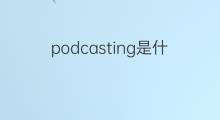 podcasting是什么意思 podcasting的中文翻译、读音、例句