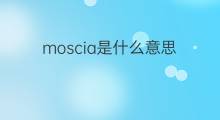 moscia是什么意思 moscia的中文翻译、读音、例句