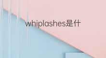 whiplashes是什么意思 whiplashes的中文翻译、读音、例句