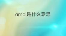 amoi是什么意思 amoi的中文翻译、读音、例句