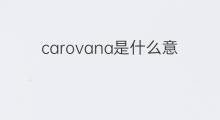 carovana是什么意思 carovana的中文翻译、读音、例句
