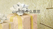 cano是什么意思 cano的中文翻译、读音、例句