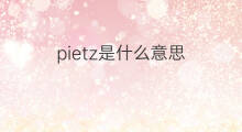 pietz是什么意思 pietz的中文翻译、读音、例句