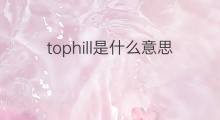 tophill是什么意思 tophill的中文翻译、读音、例句