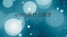entro是什么意思 entro的中文翻译、读音、例句