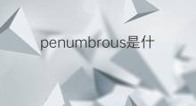 penumbrous是什么意思 penumbrous的中文翻译、读音、例句