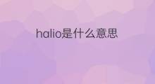 halio是什么意思 halio的中文翻译、读音、例句