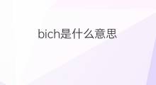 bich是什么意思 bich的中文翻译、读音、例句
