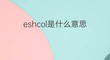 eshcol是什么意思 英文名eshcol的翻译、发音、来源