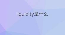 liquidity是什么意思 liquidity的中文翻译、读音、例句