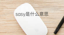 sasy是什么意思 sasy的中文翻译、读音、例句