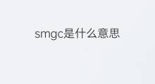 smgc是什么意思 smgc的中文翻译、读音、例句