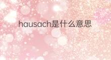 hausach是什么意思 hausach的中文翻译、读音、例句