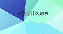 shida是什么意思 shida的中文翻译、读音、例句