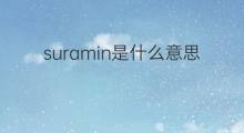 suramin是什么意思 suramin的中文翻译、读音、例句