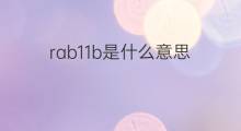 rab11b是什么意思 rab11b的中文翻译、读音、例句
