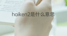 haiken2是什么意思 haiken2的中文翻译、读音、例句