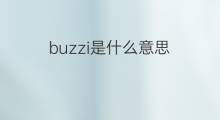 buzzi是什么意思 英文名buzzi的翻译、发音、来源