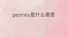 penney是什么意思 penney的中文翻译、读音、例句