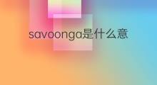 savoonga是什么意思 savoonga的中文翻译、读音、例句