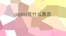 alpha是什么意思 alpha的中文翻译、读音、例句