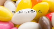 vulgarism是什么意思 vulgarism的中文翻译、读音、例句