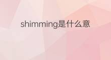 shimming是什么意思 shimming的中文翻译、读音、例句
