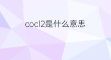 cocl2是什么意思 cocl2的中文翻译、读音、例句