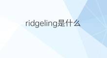 ridgeling是什么意思 ridgeling的中文翻译、读音、例句