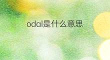 odal是什么意思 odal的中文翻译、读音、例句